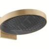 Hansgrohe Rainfinity - Rociador De Ducha E 360 Con Conexión, 1jet, Bronce Cepillado 26230140 1 Hansgrohe Rainfinity - Rociador De Ducha E 360 Con Conexión, 1jet, Bronce Cepillado 26230140 -Baño Suministros Tienda 2d7e4be380ff9df273fd1424