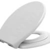 Sapho Asientos De WC - Asiento De WC Con Asiento De WC Para Niños Integrado, Soft Close, Blanco FS125 -Baño Suministros Tienda 603dfde752b87da9e07d72de