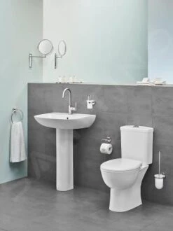 Grohe Bau Ceramic - Taza De Inodoro Completo, Rimless, Blanco Alpino 39349000 -Baño Suministros Tienda 64fb88871fd389075c28c6c9