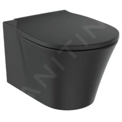 Ideal Standard Connect Air - Inodoro Suspendido, AquaBlade, Negro E0054V3 -Baño Suministros Tienda 8b5ce6718ab6fefc2e728100