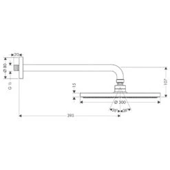 Hansgrohe Raindance S - Rociador De Ducha 300, Con Brazo De Ducha 390 Mm, EcoSmart 9 L/min, Cromo 26601000 -Baño Suministros Tienda fc9d6b51171c68b87ef4583e
